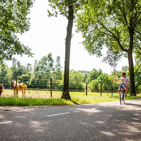 Topparken – Résidence De Leuvert Cromvoirt
