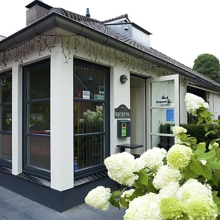 Semesterpark De Leuvert 3*